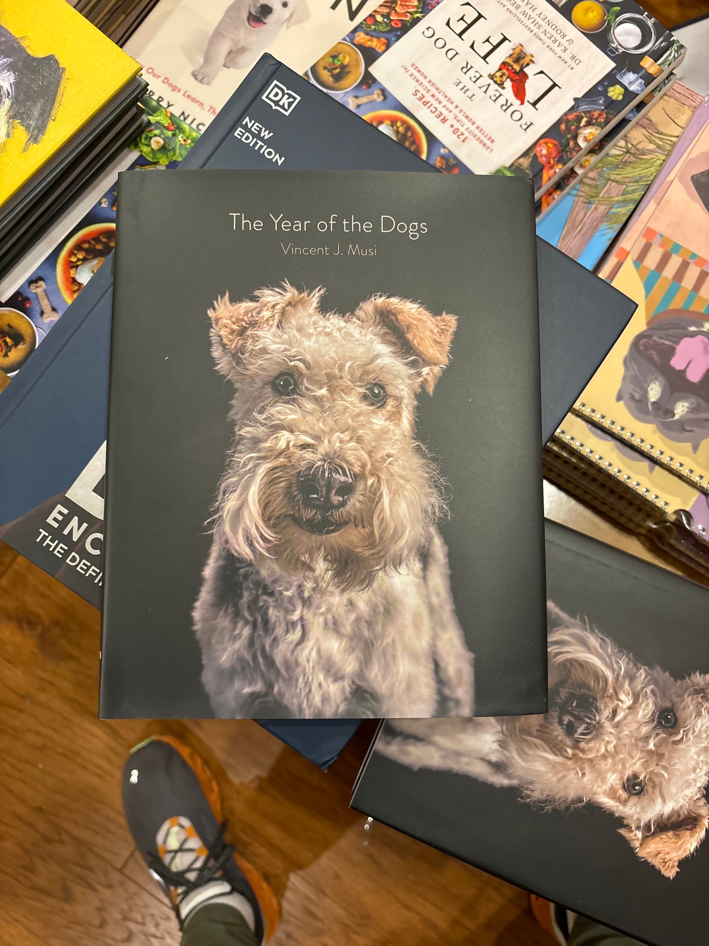 The Year of the Dogs