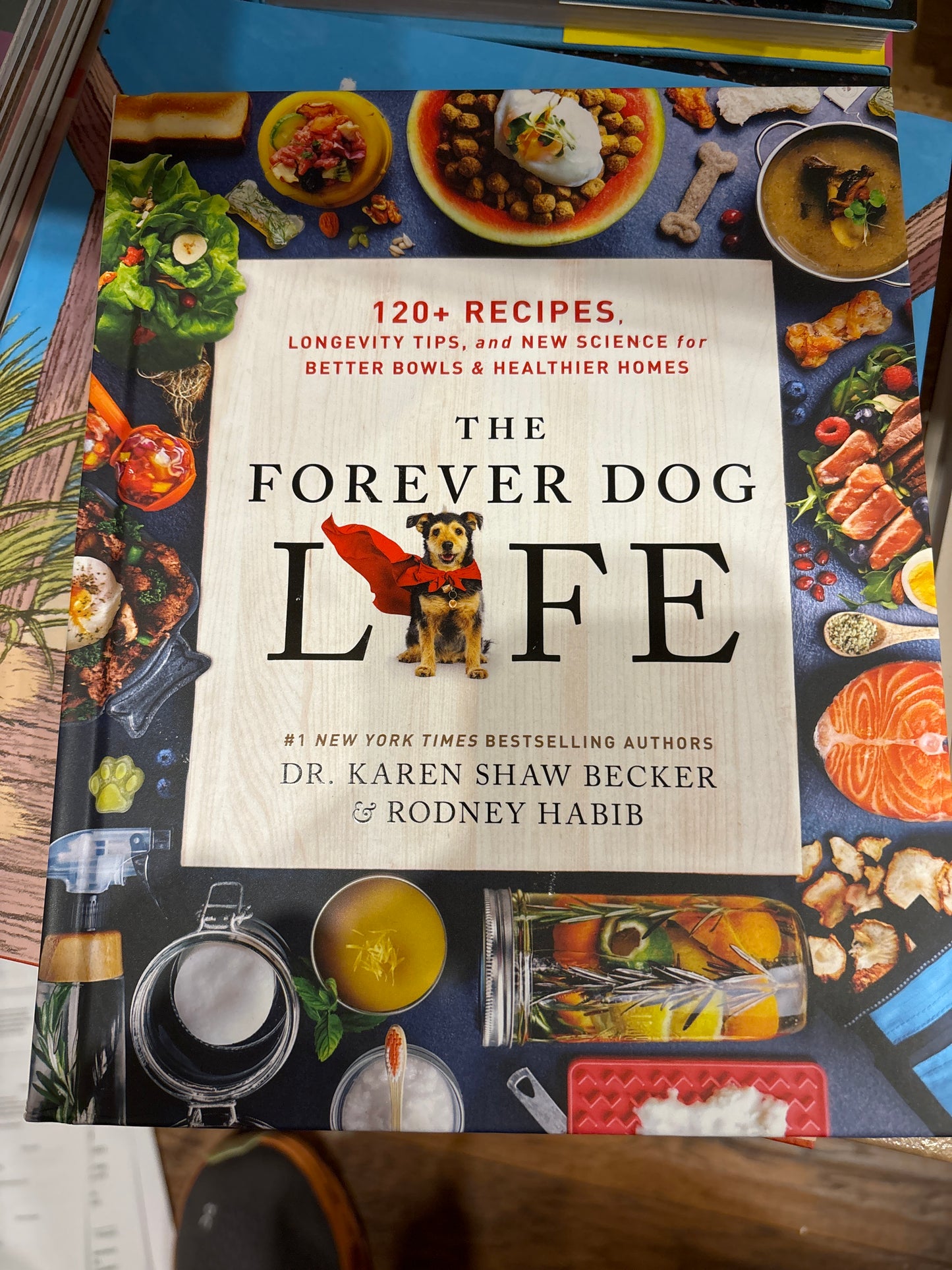 The Forever Dog Life