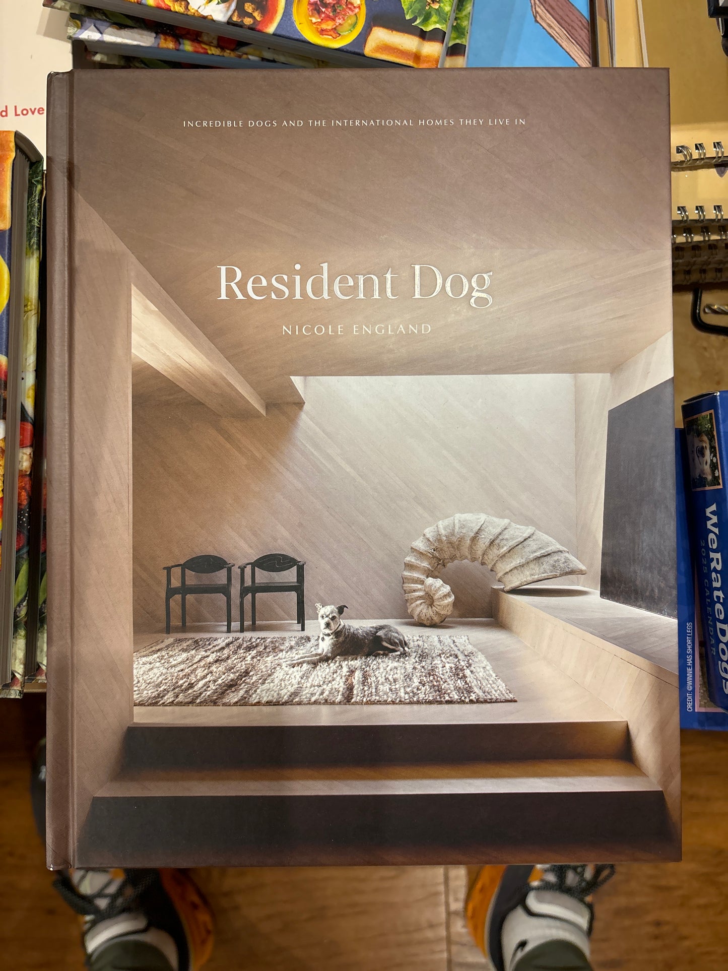Resident Dog 2