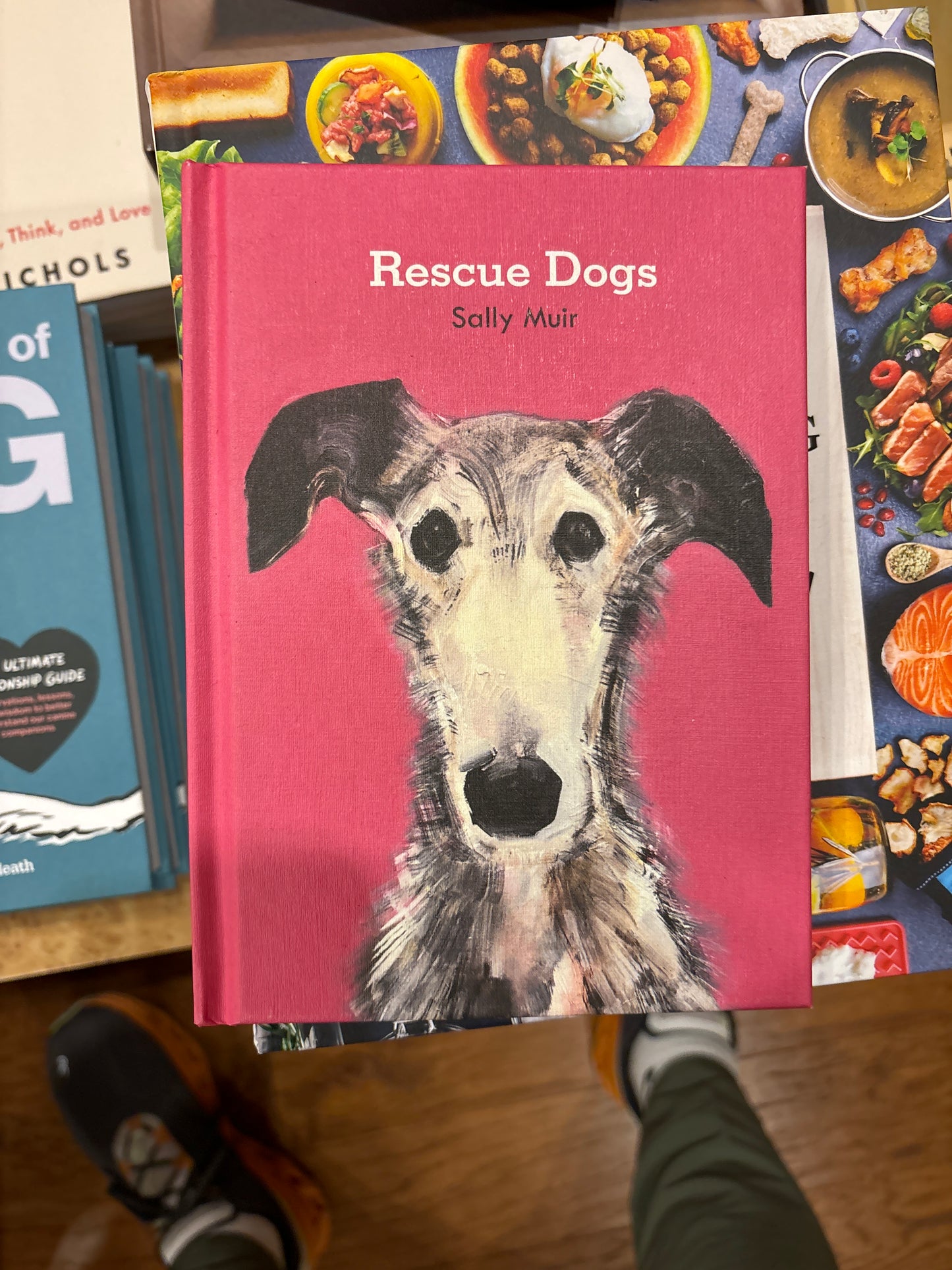 Rescue Dogs