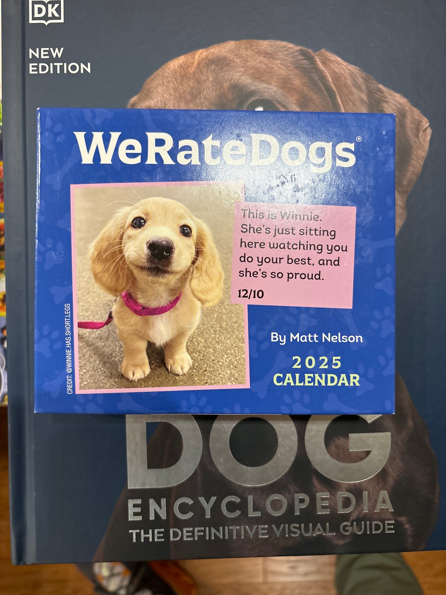 We Rate Dogs
