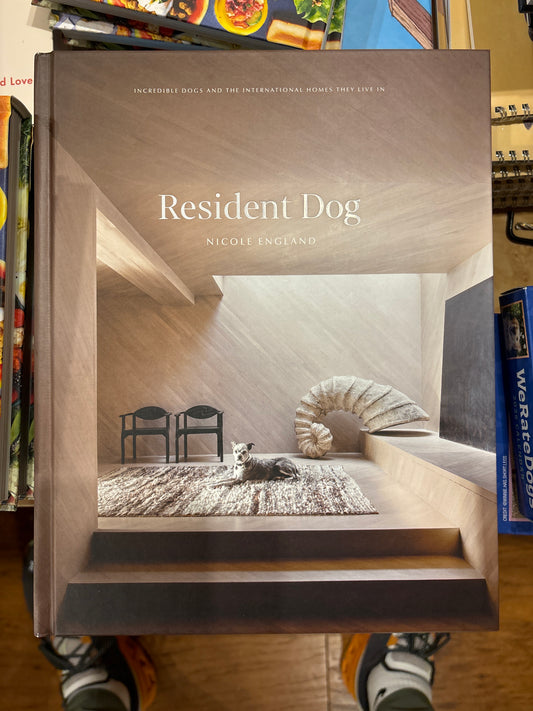 Resident Dog 2