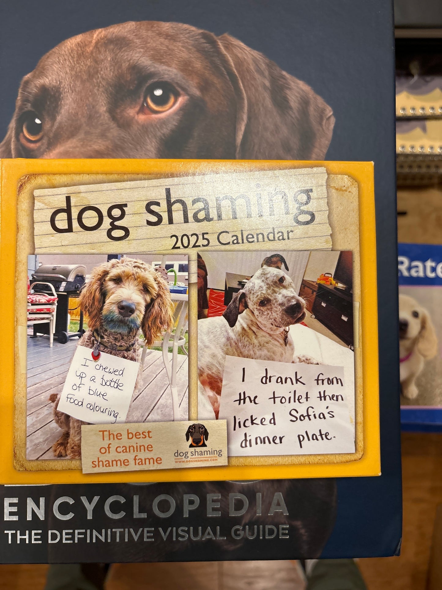 Dog Shaming Calendar 2025